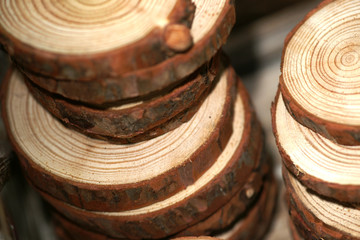 친환경 유기농 식재료 농산물 농사 정물 이미지