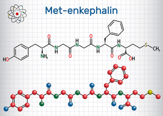 Met-enkephalin molecule. It is endogenous opioid peptide. Sheet of paper in a cage. Structural chemical formula and molecule model