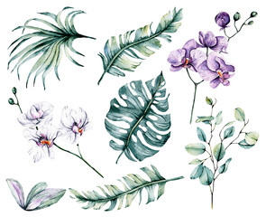 Watercolor flowers set, tropical flowers orchids and leaves for design wedding invitation, greeting, wallpaper, fashion, background, texture, wrapper, postcard, logo, etc. Hand painting. © Larisa