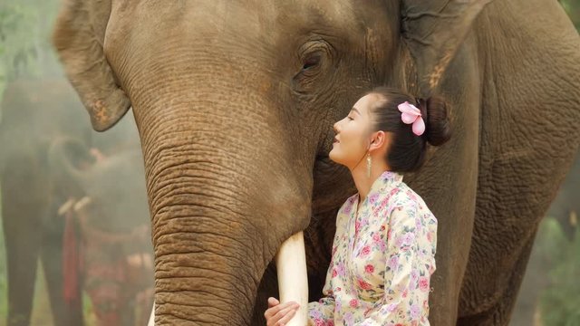 Tenderness of young attractive asian woman in traditional costume with elephant. Concept: love of animals, softness, and nature.