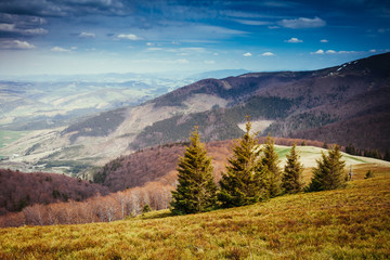 Great view of the alpine valley that glowing by sunlight.