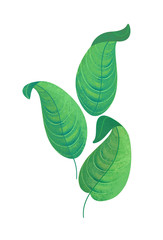 cartoon scene with leaf nature on white background - illustration for children