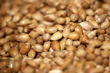 친환경 유기농 식재료 농산물 농사 정물 이미지