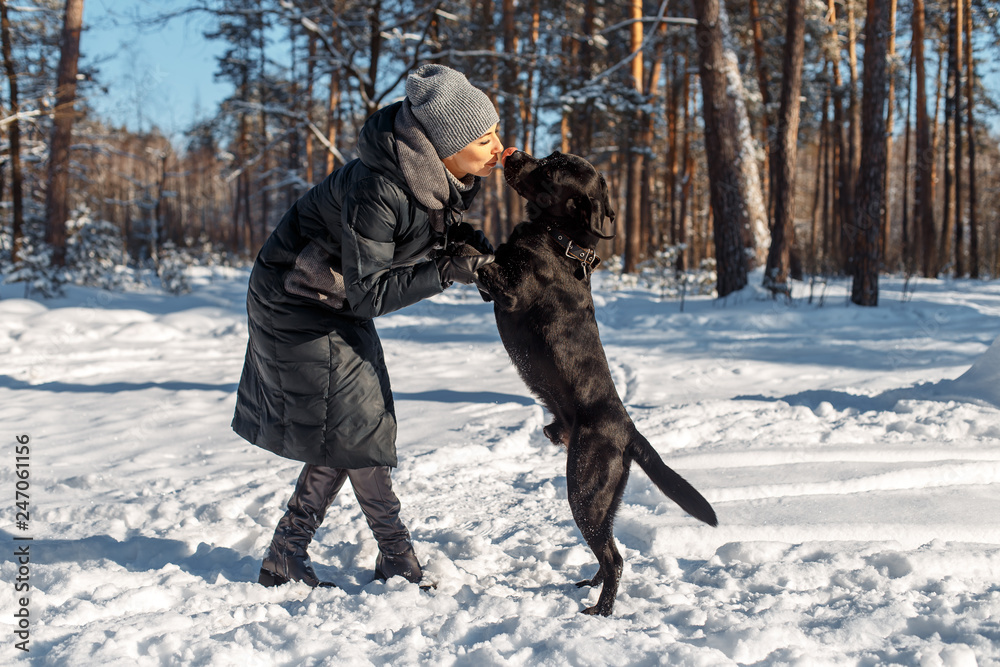 Wall mural A happy woman with a dog (black Labrador) having fun outside in the forest on a sunny frosty winer day.