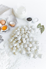 Fototapeta na wymiar Ingredients for modeling homemade dumplings. Eggs, milk, flour, salt, pepper, meat. White background, side view