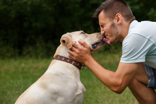 Friendship and love of man and dog. Happy young man kissing with his friend - dog Labrador