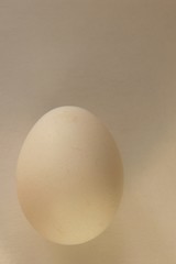 white egg on white background. isolated close-up cutout