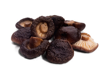 dried mushrooms on white background