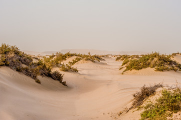 Sand dunes in sea line, Doha Qatar