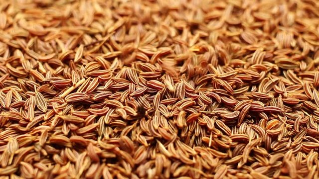 Pour the seeds of the cumin