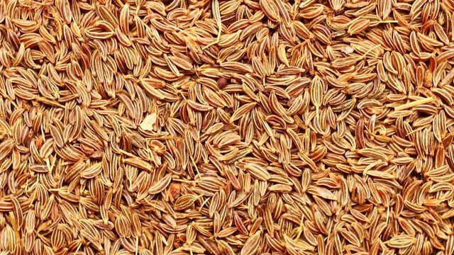 Cumin seeds close-up