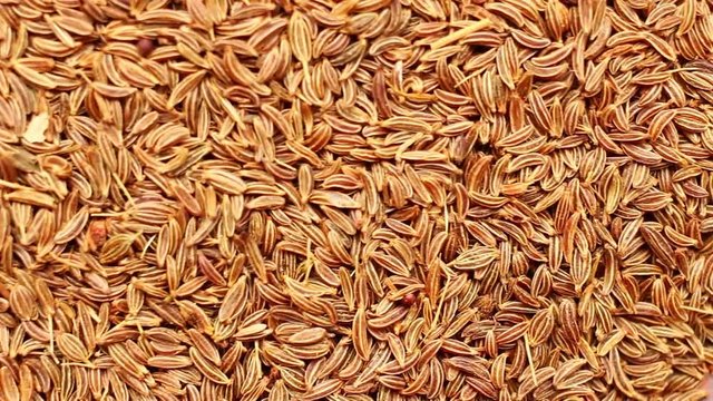 Cumin seeds close-up
