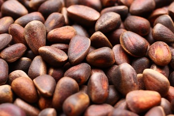 Cedar nuts in the shell close up
