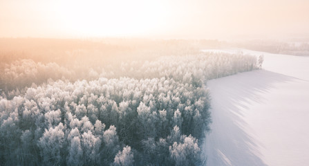 Beautiful winter scenery with sunrise over the tree tops of pine forest. Sunlight shines through the mist creating stunning aerial panorama. Moody winter day's landscape with warm sunlight. 