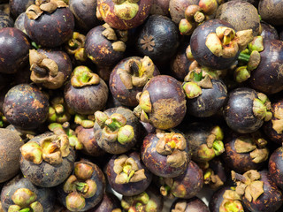 Group of fresh Mangosteen