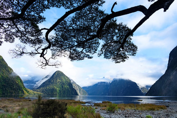 View over Milford Sound, Fjordland, New Zealand
