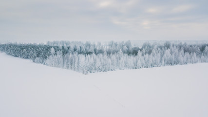 Beautiful winter scenery with sunrise over the tree tops of pine forest. Sunlight shines through the mist creating stunning aerial panorama. Moody winter day's landscape with warm sunlight. 