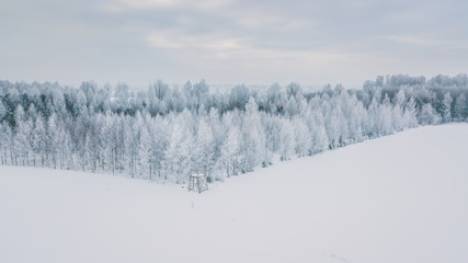 Beautiful winter scenery with sunrise over the tree tops of pine forest. Sunlight shines through the mist creating stunning aerial panorama. Moody winter day's landscape with warm sunlight. 