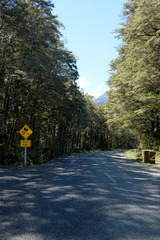 Start of a gravel road in Fjordland National Park, South Island New Zealand.