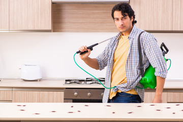 Professional contractor doing pest control at kitchen