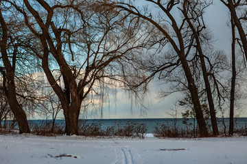 Toronto, CANADA - January 27th, 2019: Panoramic Canadian winter landscape near Toronto, beautiful frozen Ontario lake at sunset. Scenery with winter trees, water and blue sky.