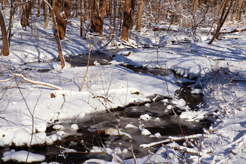 Fototapeta na wymiar Beautiful winter morning after snowfall background. Snowy landscape with iced stream in the covered by fresh snow forest during. Wisconsin nature, Midwest USA, Madison area.