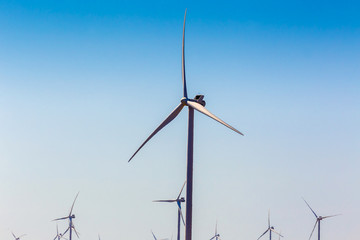 Wind farm. windmill-powered plant. Wind turbines on a field
