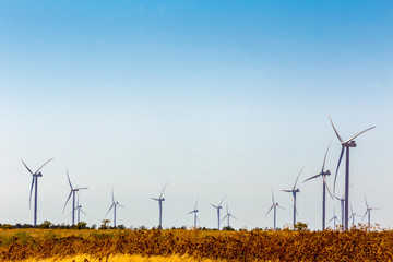 Wind farm. windmill-powered plant. Wind turbines on a field
