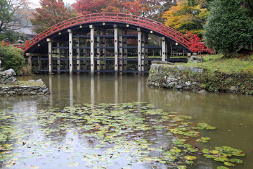 秋の丹生都比売神社