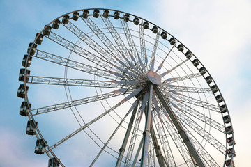 La Grande Roue de Paris