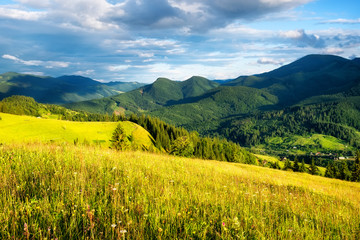 Field in the mountains. Summer forest in mountains. Natural summer landscape. Meadow with flowers in mountains. Rural landscape. Mountains landscape-image