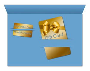 Gift cards come with terms and conditions and that is the theme of this image. A gift card is seen next to a smaller card that notes some of the fees and deadlines for using the card.
