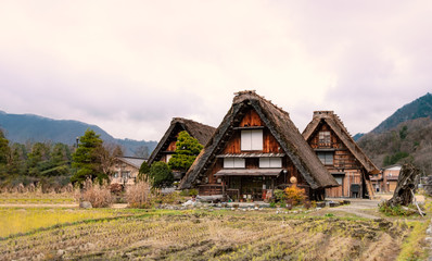 Fototapeta na wymiar Gassho-zukuri house in Shirakawa go ,unesco world heritage in Gifu , Japan