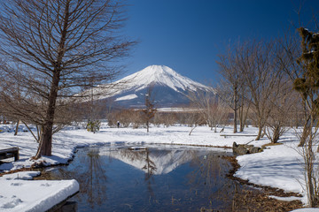 水面に反射する富士山（冬）