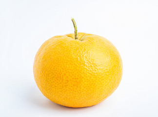 Chinese Spring Festival tribute fruit fortune orange