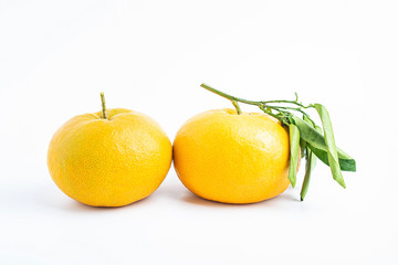 Chinese Spring Festival tribute fruit fortune orange