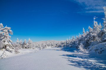 Rime of Hachimantai　　八幡平の樹氷