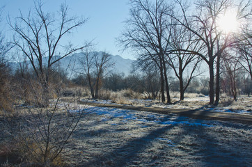 The backwoods area in the cold winter park walkway in the morning. 