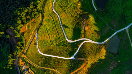 Aerial photography of China's country road