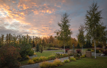 Garden in the cemetery