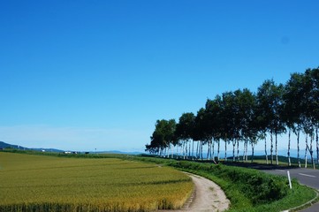 初夏の北海道