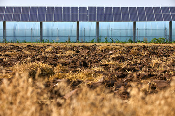 Vegetable cultivation thermostat greenhouse under the solar photovoltaic solar cell panel