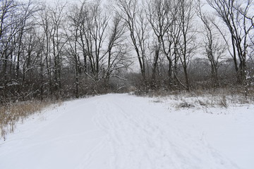 Obraz premium snowy road in winter