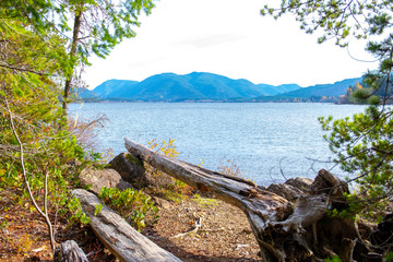 Fototapeta na wymiar Gordon Bay Park at Cowichan Lake in Vancouver Island, Canada