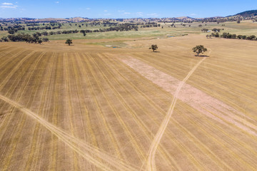 Obraz premium Farmland - Cowra NSW Australia. Central western NSW farmland - Australia