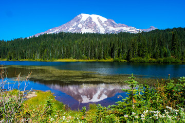 Mt Rainier Reflecting Pool