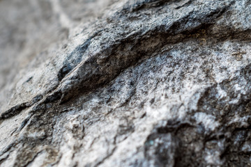 Full Frame texture of Decorative natural stone in the park