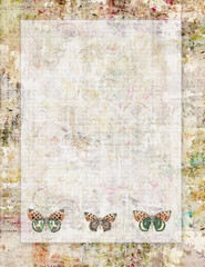 Vintage-styled botanical floral letterhead with butterflies 