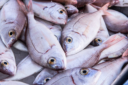Whole fish at a market