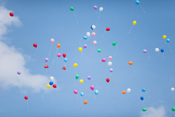 many balloons in the sky